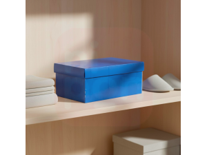 Caixa Organizadora Mini/Sapato Azul 