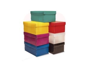 Caixa Organizadora para Sapato